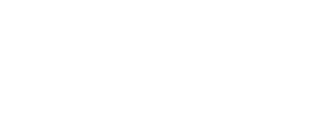 dahua