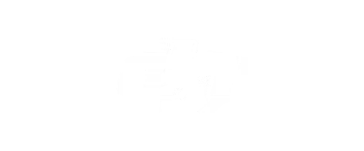 dji