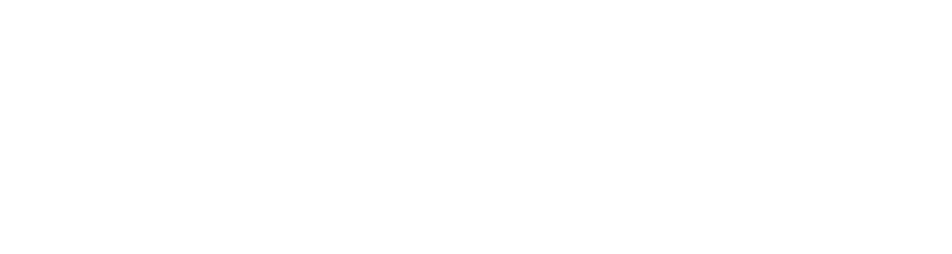 dahua Logo